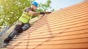 Professional Roofing in Kildeer, IL